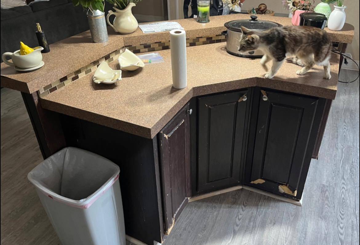 486656802 122205719840046657 5958019711602377014 N